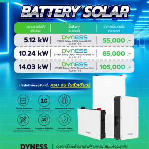Package DYNESS แบตเตอรี่ LiFePO4 /