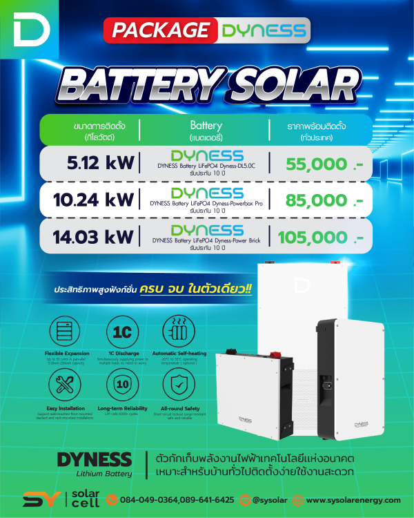 Package DYNESS แบตเตอรี่ LiFePO4 /